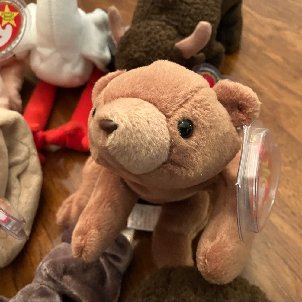Lot of 10 Ty Beanie Babies pet free and smoke free home. Been in storage. - Picture 8 of 11